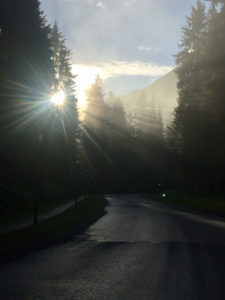 Sunlight on Road