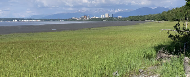 Downtown Anchorage View from the Coastal Trail