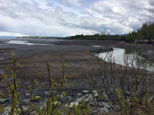 View of Anchorage from the Coastal Trail