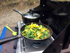 Beef & Broccoli on the Camp Stove