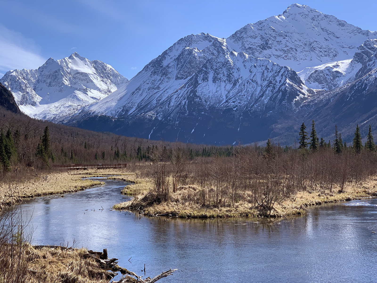 Spring view of the mountains from the Albert Loop Trail